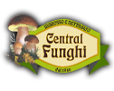 Central Funghi