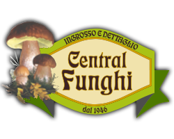 Central Funghi